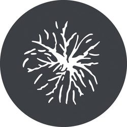 Juego de gobos Godox GP-GS2 para soporte de foco MG1200Bi (paquete de 6)