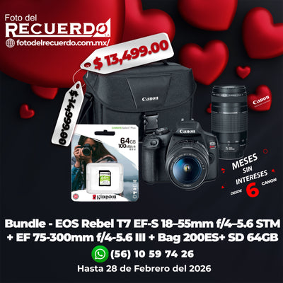 Bundle - EOS Rebel T7 EF-S 18–55mm f/4–5.6 STM + EF 75-300mm f/4-5.6 III + Bag  200ES+ SD 64GB