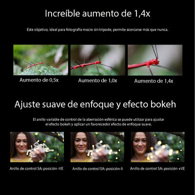 Canon RF 100mm f/2.8 L Macro IS USM Lente