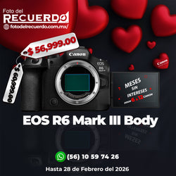 Cámara Canon R6 Mark III Mirrorless Cuerpo