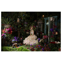 Canon EF 24-70mm f/2.8L II USM Lente