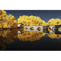 Canon EF 70-300mm f/4-5.6L IS USM Lente