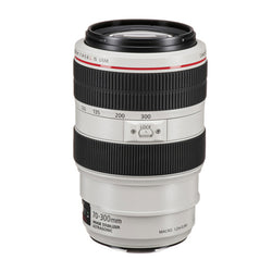 Canon EF 70-300mm f/4-5.6L IS USM Lente