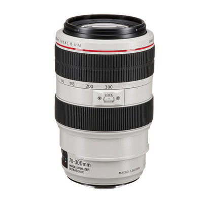 Canon EF 70-300mm f/4-5.6L IS USM Lente