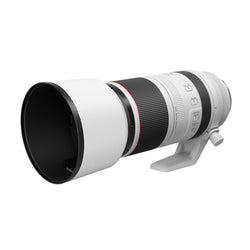 Canon RF 100-500mm f/4.5-7.1 L IS USM Lente