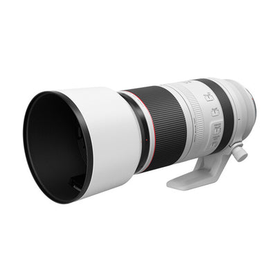 Canon RF 100-500mm f/4.5-7.1 L IS USM Lente