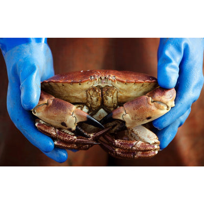 Canon RF 70-200mm f/4 L IS USM Lente