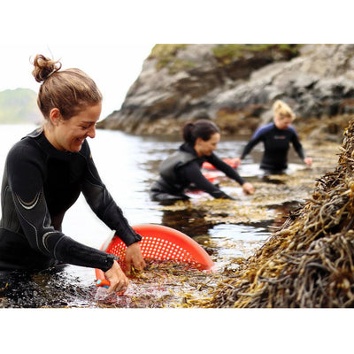 Canon EF-M 32mm f/1.4 STM Lente