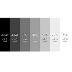 Vanta Tarjeta gris 7 x 10 pulgadas