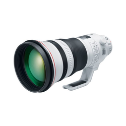 Canon EF 400mm f/2.8L IS III USM Lente