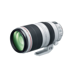 Canon EF 100-400mm f/4.5-5.6L IS II USM Lente